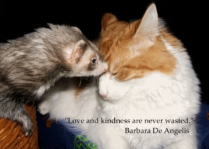 Love and kindness are never wasted.