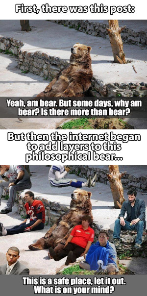 the safe place with bear http geekstumbles com funny lolsnaps the safe ...