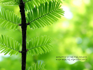 bible verses desktop wallpaper download christian bible verses ...