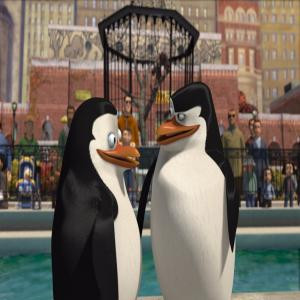 Penguins-penguins-of-madagascar-5323124-1000-603 ...