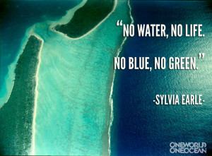 Photo quotes for social media and websites.