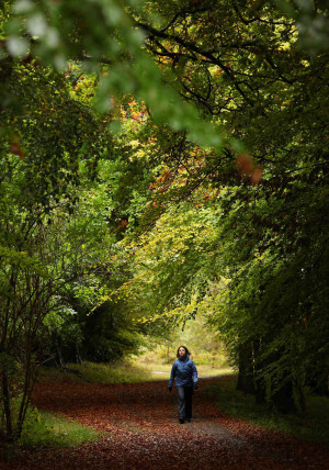 woman walks along a path lined with deciduous trees in Wendover ...