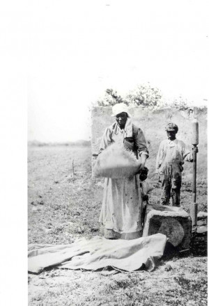 LOWCOUNTRY RICE SLAVERY | [Drew Gilpin Faust's most recent book is ...