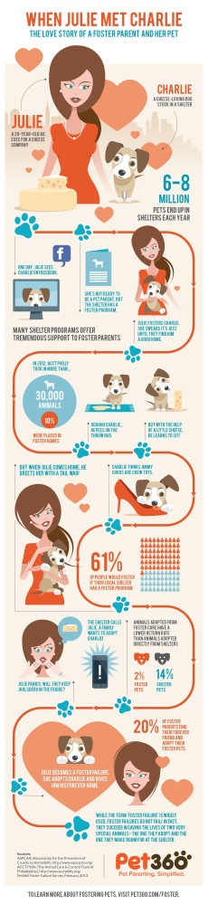 ... : The Love Story Of A Foster Parent And Her Pet - Infographic design