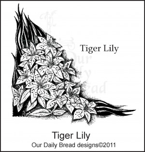 tiger lily book quotes