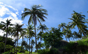 Florida Work Comp Discounts.Payroll and PEO Employee Leasing.