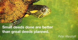 small deeds done are better than great deeds planned