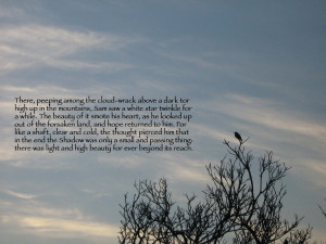 The Traveling Mandolin