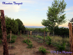 Selasa, 20 Juli 2010