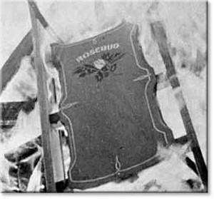 WHAT WAS ROSEBUD? The Real Story.