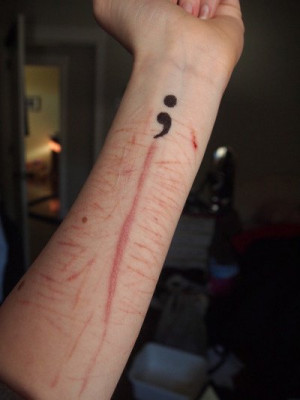 The semicolon is used when asentence could have ended, but didn’t ...