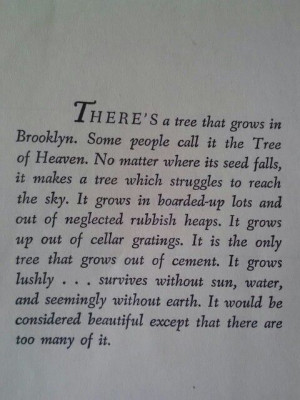 Tree Grows In Brooklyn #quote