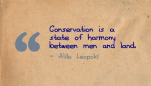 ... is a state of harmony between men and land ~ Environment Quote