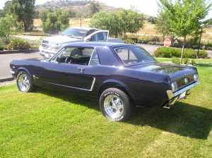 Classic Mustang May