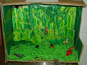 ... Tropical Rainforests, Projects Ideas, Biome Projects, Tropical