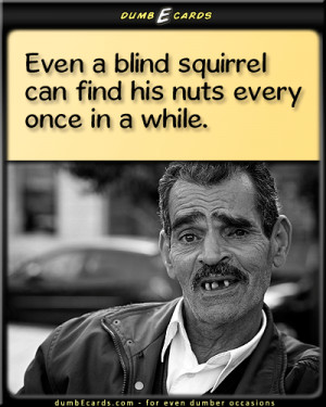 Squirrel Nuts - blind squirrel, balls, old sayingsthank you ecards ...