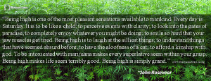 Marijuana Quote by John Rosevear
