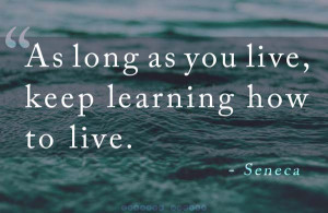49 Beautiful Quotes About Learning - Curated Quotes