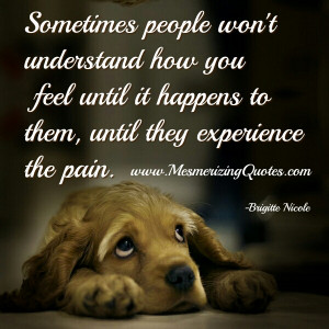 to experience the pain I’ve experienced. If they don’t understand ...