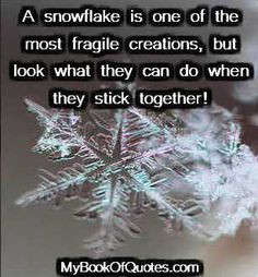snowflake quotes and poems more life quotes schools quotes snowflakes ...