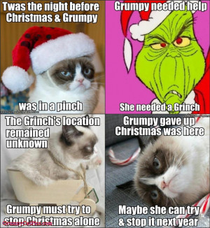 Grumpy Cat Tries To Stop Christmas