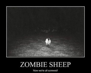 Zombie Sheep Now Wea’re All Screwed