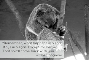 The Most Inspiring Movie Travel Quotes on Cute Photos of Sleepy Koalas