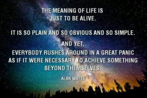 Alan Watts quote
