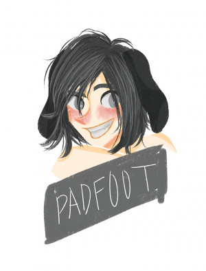 Sirius Black james potter remus lupin marauders peter pettigrew ma ...