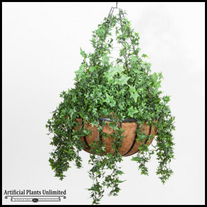 English Ivy In 22in Hanging Basket Outdoor Rated