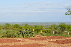Michael Parenti Quotes