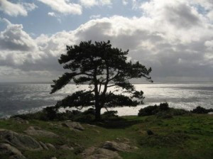 These criticism quotes should help you to talk less poorly of others ...