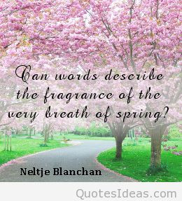 Spring quotes images & spring wallpapers quotes