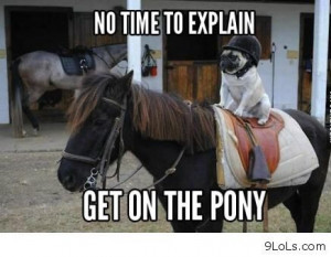 Dog and horse funny images - Funny Pictures, Funny Quotes, Funny ...