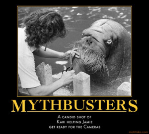 mythbusters-mythbusters-walrus-funny-demotivational-poster-1258893701 ...