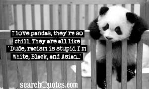 love pandas, they're so chill. They are all like 'Dude, racism is ...