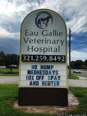 To Brighten Up Your Monday: Funny Signs Put Up By An Animal Hospital