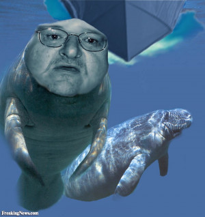 Funny Manatee Moore