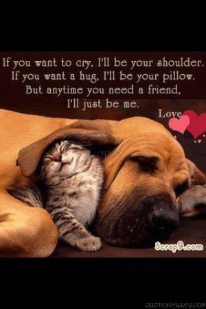 to cry cry ill be your shoulder shoulder shoulder to cry on