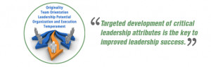 Leadership Assessment and Development