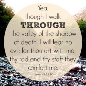Psalm 23:4 quotes photography outdoors nature evil death bible verse