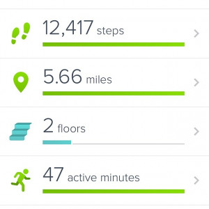 Signs it was a good day, at least physically. #fitbit goal met big ...