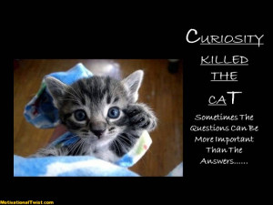 curiosity killed the cat curiosity questions answers motivational ...