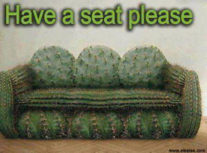 Funny Pictures-cactus-sofa-pictures-images-photos