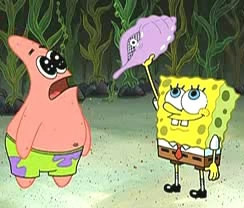 the magic conch #spongebob #lol