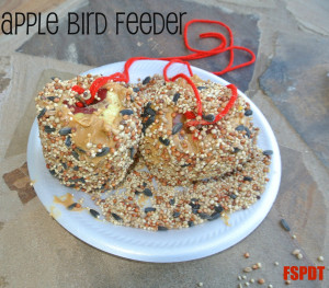 Apple bird feeder