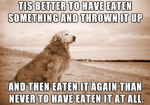 Even when dogs get philosophical, it's still gross.