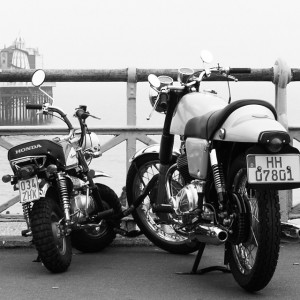 Big brother, Little brother #brighton