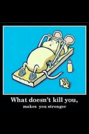 what doesn't kill you makes you stronger, stand a little taller, doesn ...