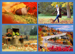 Fall Season Love Quotes Autumn my favourite season is